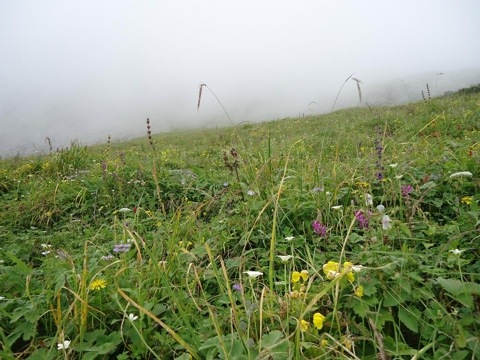 20110903-115844.jpg
