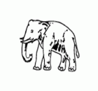 bsp
