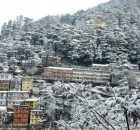 20120208-142823.jpg