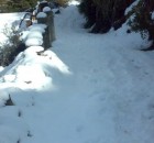 More Snowfall Predicted in Himachal Pradesh