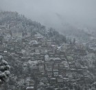Shimla Snowfall Picture