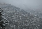 Shimla Snowfall Picture
