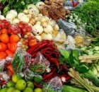 cold chain