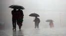 Spring rain brings back the cold