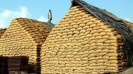 Foodgrain storage