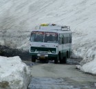 HRTC buses