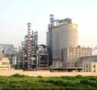 20120506-082122.jpg