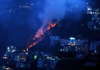 A summer blaze in Shimla city forest