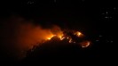 Summer fires in pine forests around Shimla airport