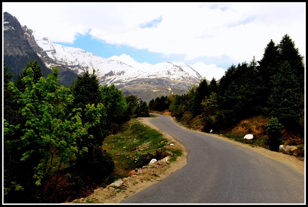 Summers in Manali_Road to Rohtang
