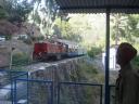 Himachal railway man looking at shimla-kalka train