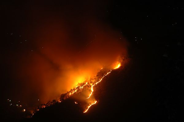 19may-forestfire-02