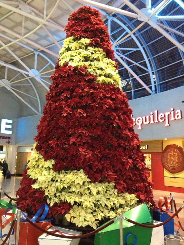 Christmas Tree inside Charlotte, North Carolina airport