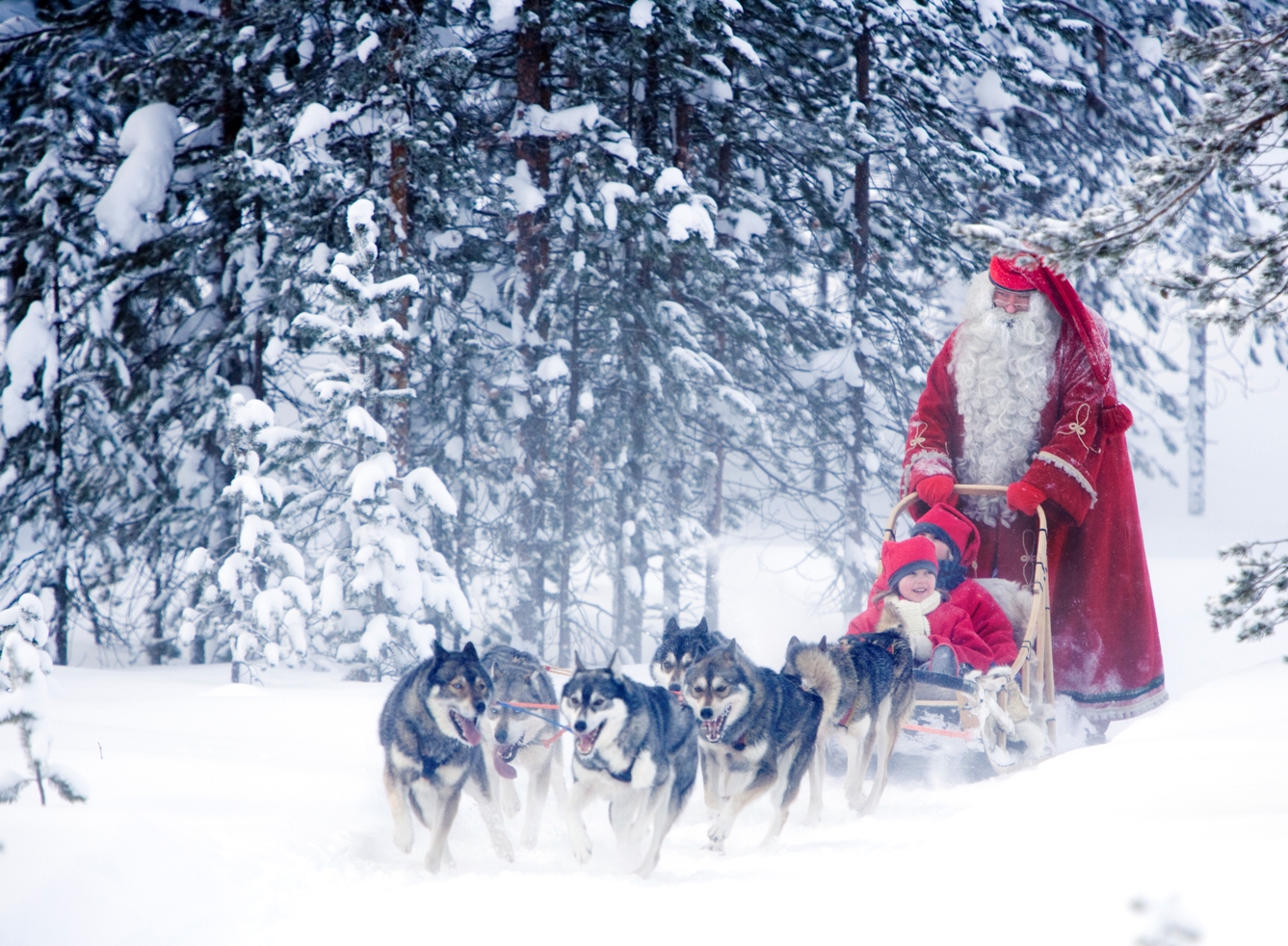 The ride of your life with Santa Claus and his husky dogs on a sleigh