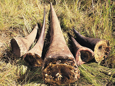 Uttarakhand Poaching WIldlife Act 2003