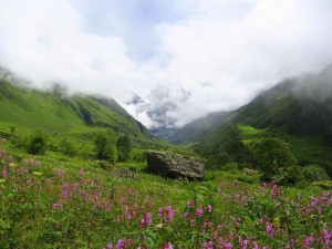 Valley of Flowers_Uttarakhand