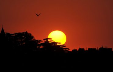 A bird flies during sunset on World Earth Day in Shimla