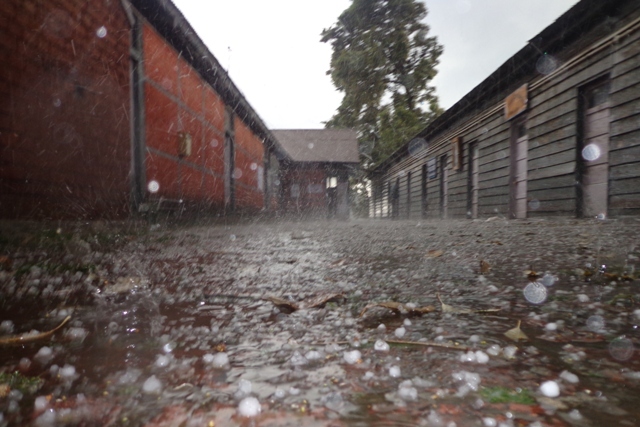 Hail storm lashes Shimla