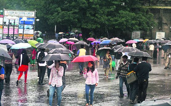Heavy rains continue in Himachal, rivers in spate