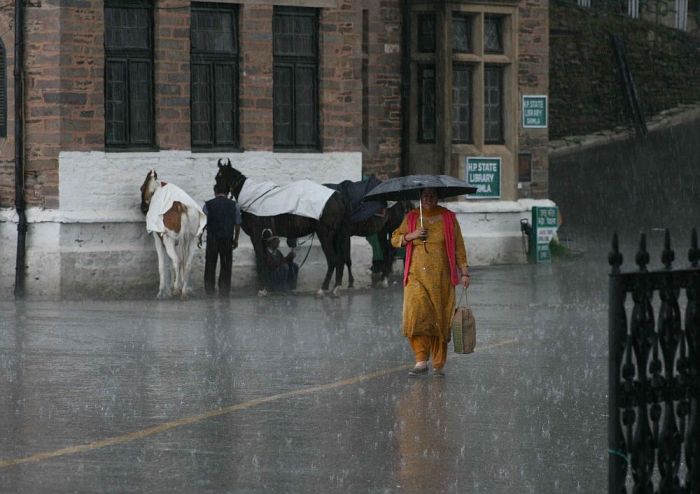 Himachal gets highest rainfall in 10 years