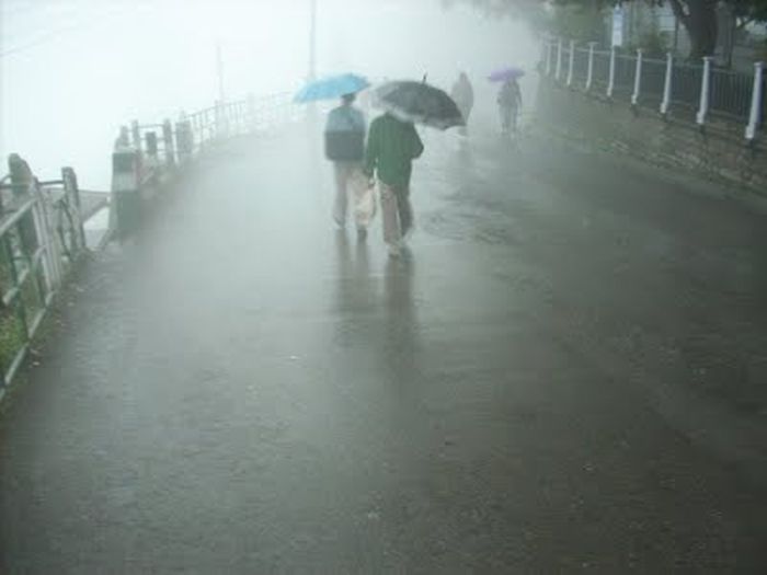 Himachal gets highest rainfall in 10 years_2