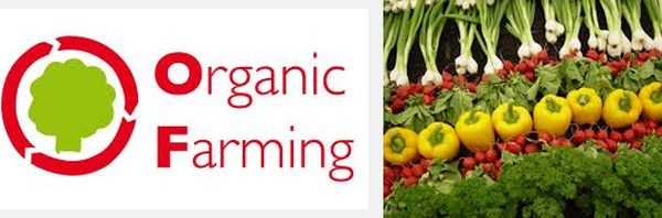 IGNOU offers course on organic farming