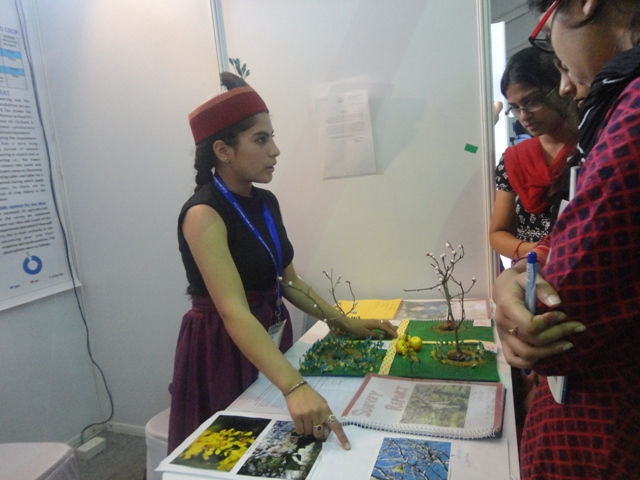  Jaya presents her model in IRIS Science Fair, Bangalore.jpg
