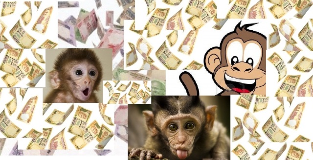 Monkey currency shower