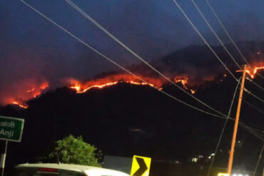 [Forest fire near Solan. Photo by Pankaj Khullar, IFS (Retd.)]