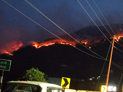 [Forest fire near Solan. Photo by Pankaj Khullar, IFS (Retd.)]