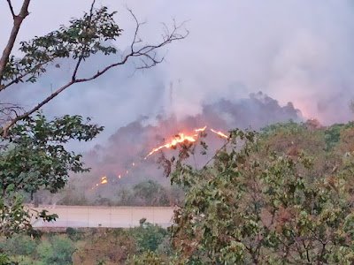 [Mountains on fire. Photo by Pankaj Khullar, IFS (Retd.)]